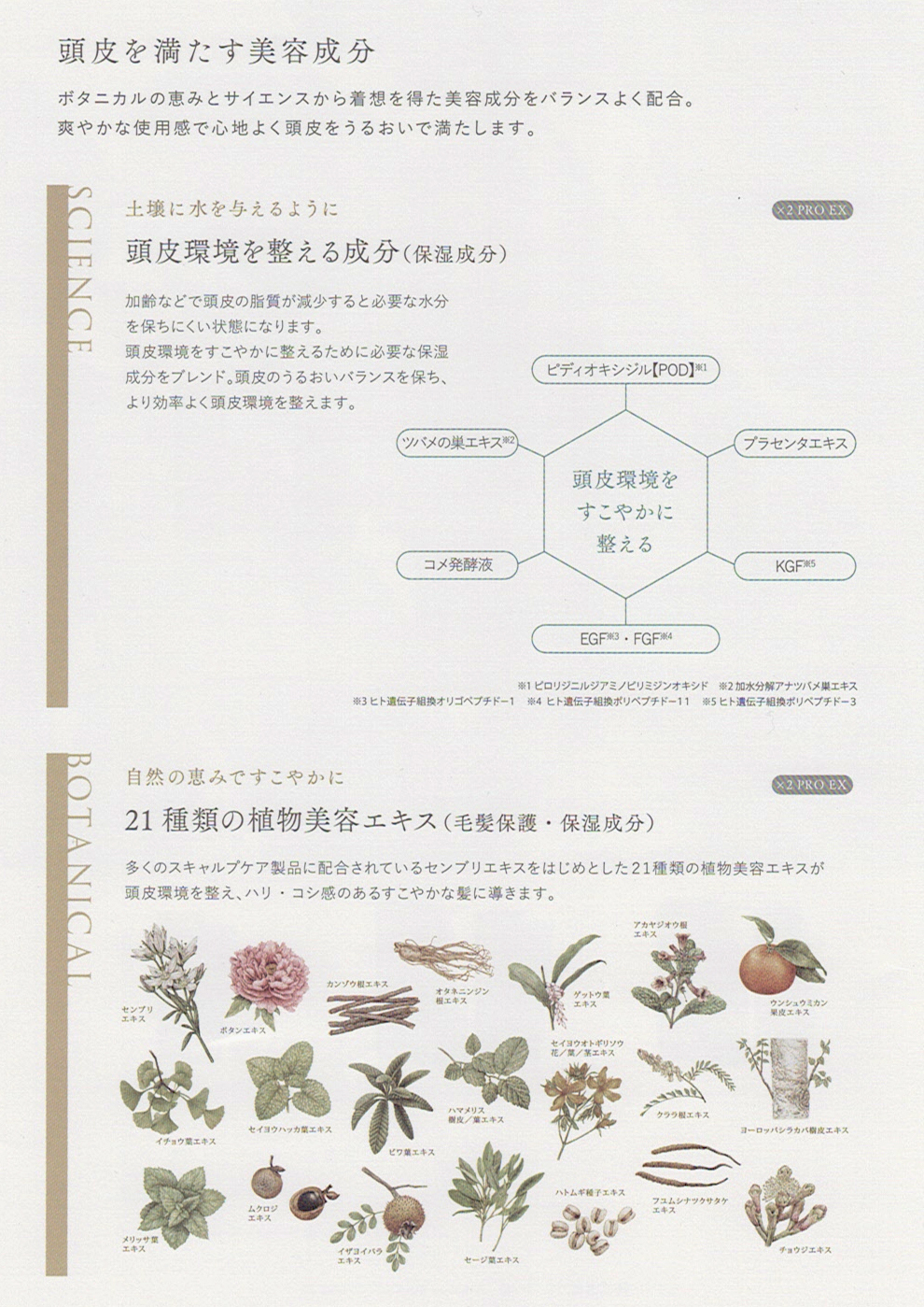 ボタニエンス スキャルプサプリ